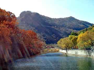 新澳天天开奖资料大全旅游团，割草机图片